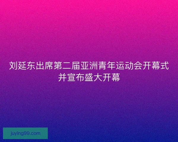 刘延东出席第二届亚洲青年运动会开幕式并宣布盛大开幕