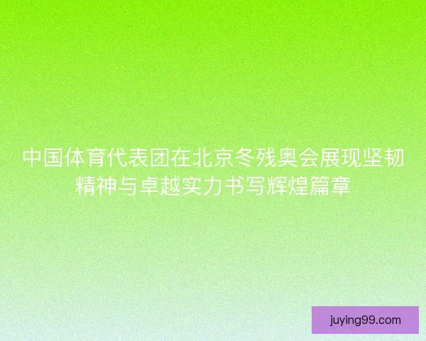 中国体育代表团在北京冬残奥会展现坚韧精神与卓越实力书写辉煌篇章