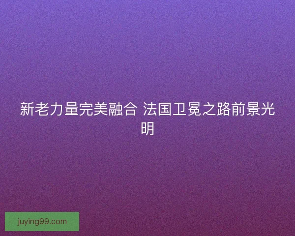 新老力量完美融合 法国卫冕之路前景光明